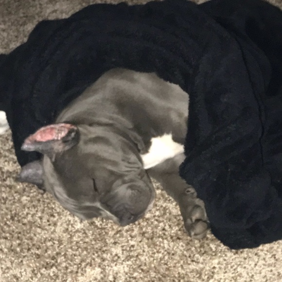 Meet your Posher, Monique - Picture 1 of 1